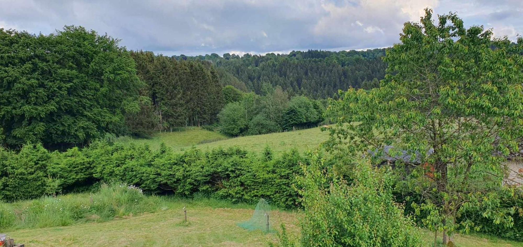 Au Coin De La Cascade Lägenhet Longfaye Exteriör bild